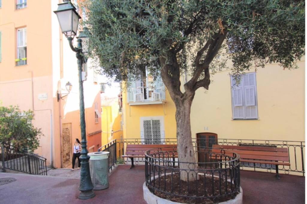 Charming Apartment Near The Beach Villefranche-sur-Mer Buitenkant foto
